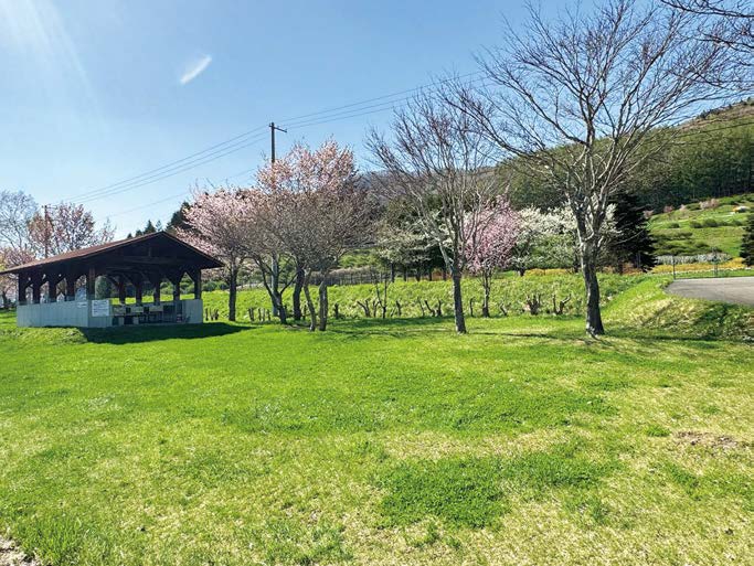 滝上渓谷公園キャンプ場