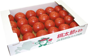 北見産トマト