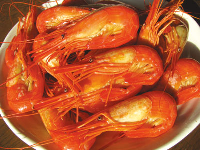北海シマエビ